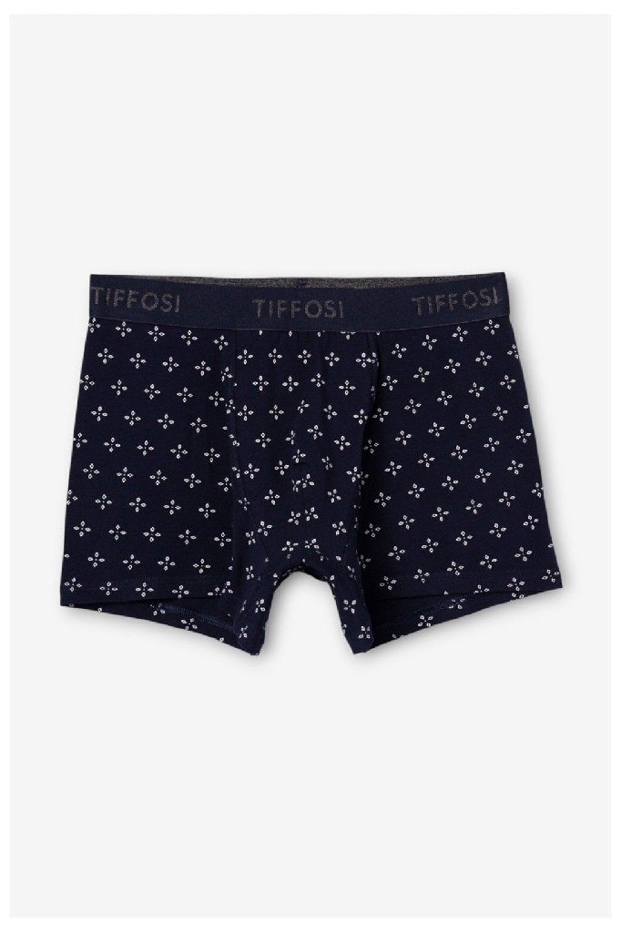 BOXER GENIANO